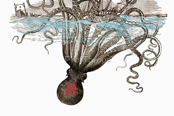 Kraken place