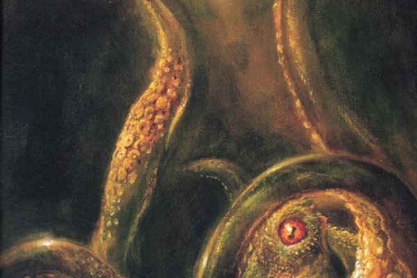 Kraken whitenet зеркала кракен обход