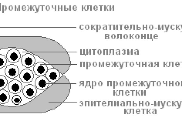 Kraken ссылка зеркало официальный